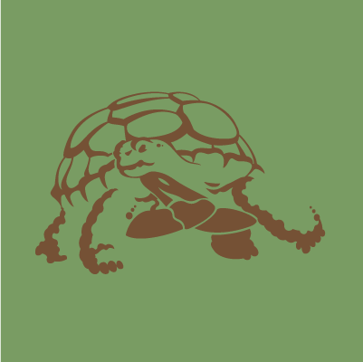 Turtle Tractors